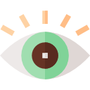 ojo icon