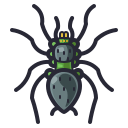 insecte 