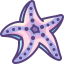 estrella icon