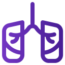 pulmones icon