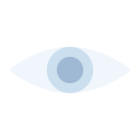 ojo icon