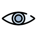 ojo icon