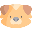 hund 