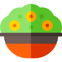 maceta icon