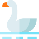 cisne icon