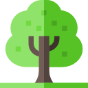 Árbol icon