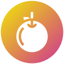 naranja icon