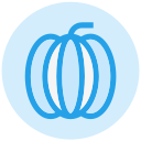 calabaza icon