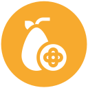 naranja china icon