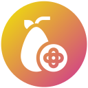 naranja china icon