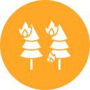 incendio forestal icon