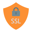 ssl icon