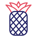 piña icon