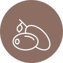 aceituna icon