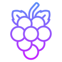 uvas icon