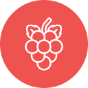 uvas icon