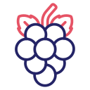 uvas icon