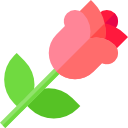 rosa icon