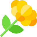 cinderpaschchilla icon