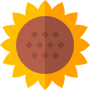 girasol icon