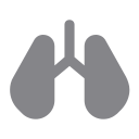 pulmones icon