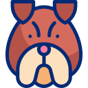 bulldog inglés icon