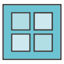 Window icon