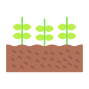 plantación icon