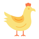 pollo icon