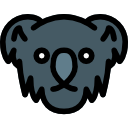 coala 