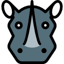 Rhinoceros 