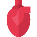 corazón icon