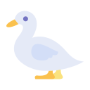 pato icon