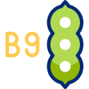 vitamina b9 