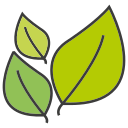 Leaf icon