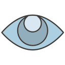 ojo icon