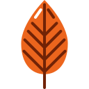 hoja de otoño 