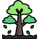 Árbol icon