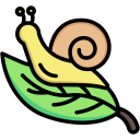 caracol icon