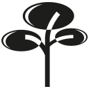 naturaleza icon