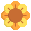 girasol icon