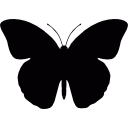 mariposa 