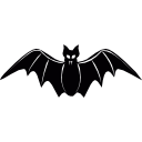 morcego frontal 