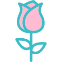 rosa icon