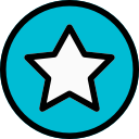 estrella icon