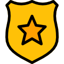 insignia icon