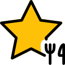 estrella icon