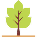 Árbol icon