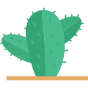 cactus icon