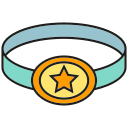 estrella icon